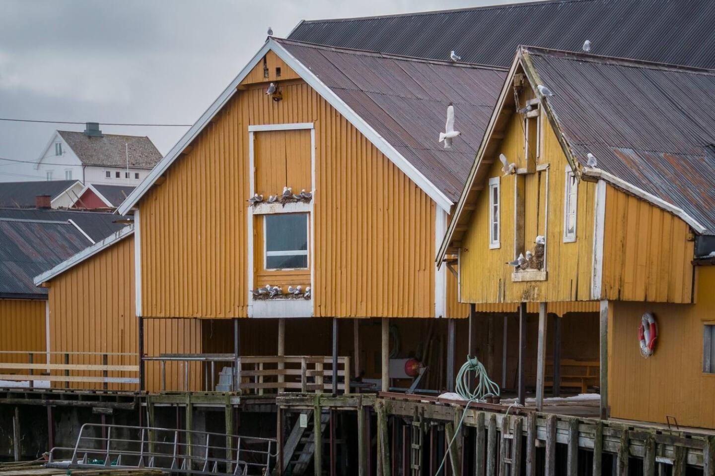 Explorers Cabin Lofoten Edge Сёрвоген Экстерьер фото